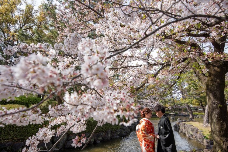 桜の木の下で見つめ合い手を取り合う新郎新婦