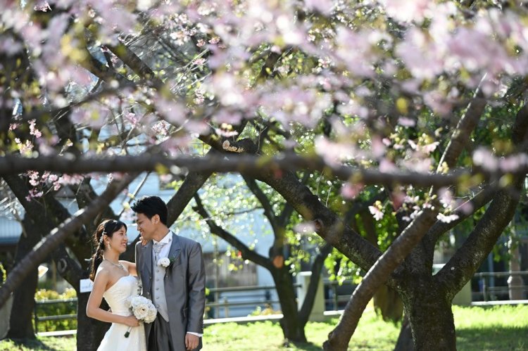 市政資料館の桜と新郎新婦