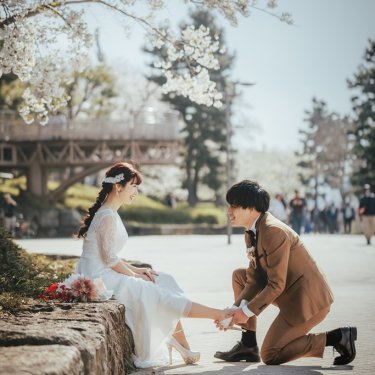 桜咲く公園で新婦に靴を履かせる新郎