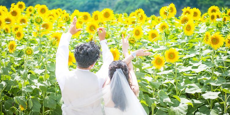 花ひろば