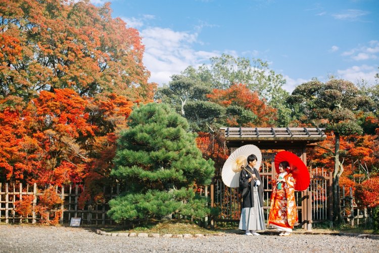 青空と紅葉