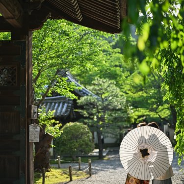 和傘を使った話題の影ショットも