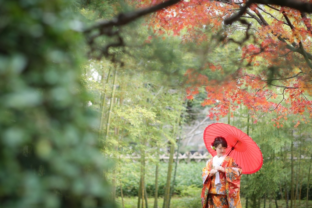 竹林と紅葉のコラボレーション