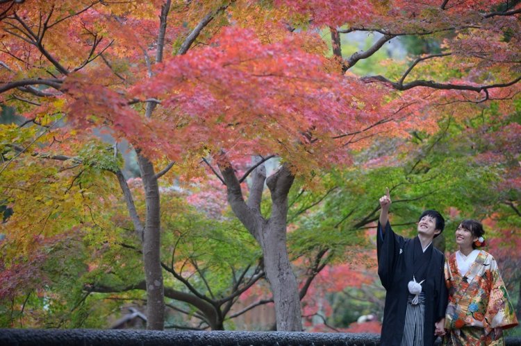 植物園内に広がる紅葉を楽しみながら
