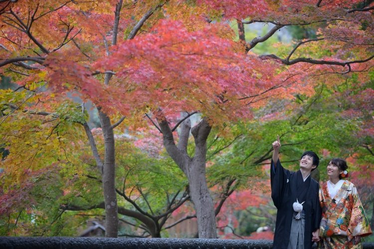 植物園内に広がる紅葉を楽しみながら