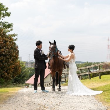 お馬さんと一緒に撮影が出来る施設！