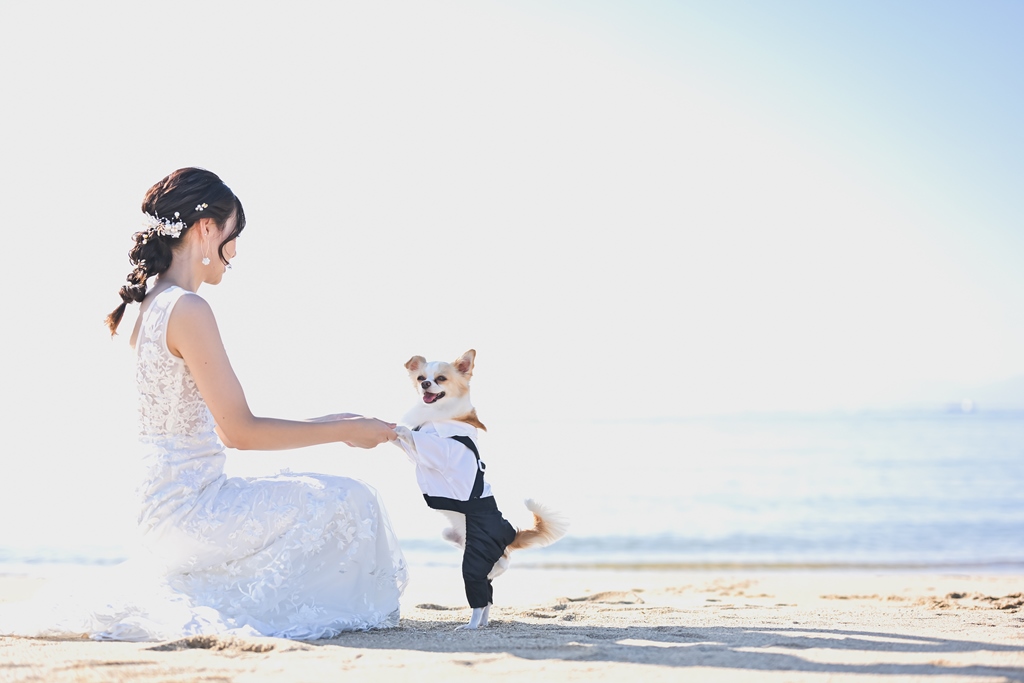 愛犬と前撮り