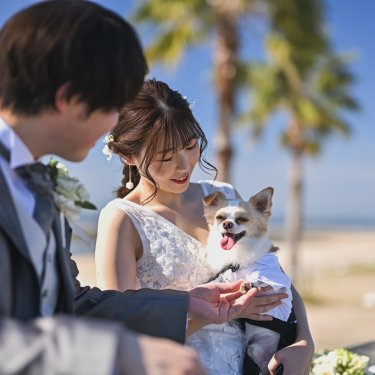 海で撮った愛犬との結婚写真