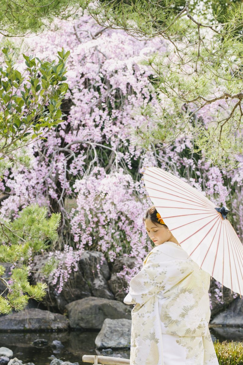 桜の和装ロケーションプラン