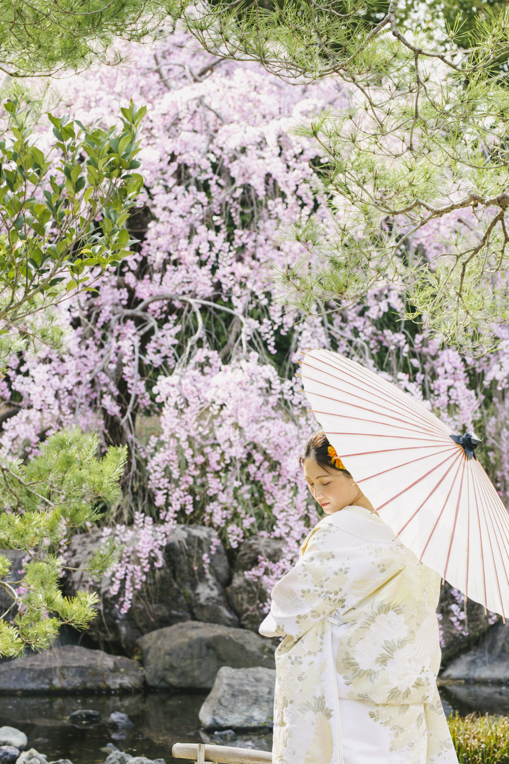 桜の和装前撮りフォトウェディング