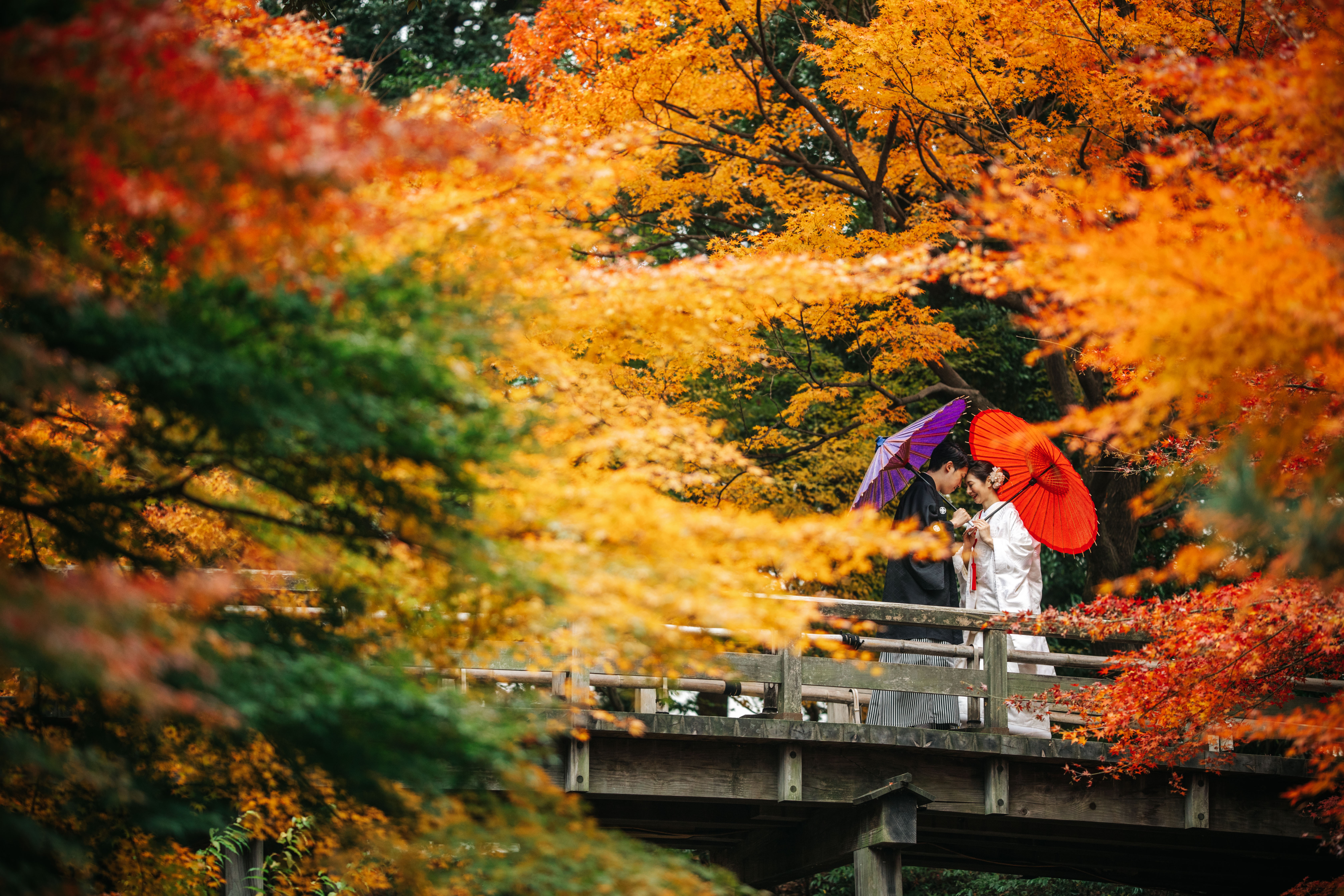 徳川園の美しい桜をバックに