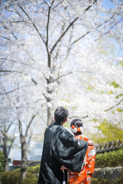 桜の木の前で肩を寄せ合って撮った結婚写真