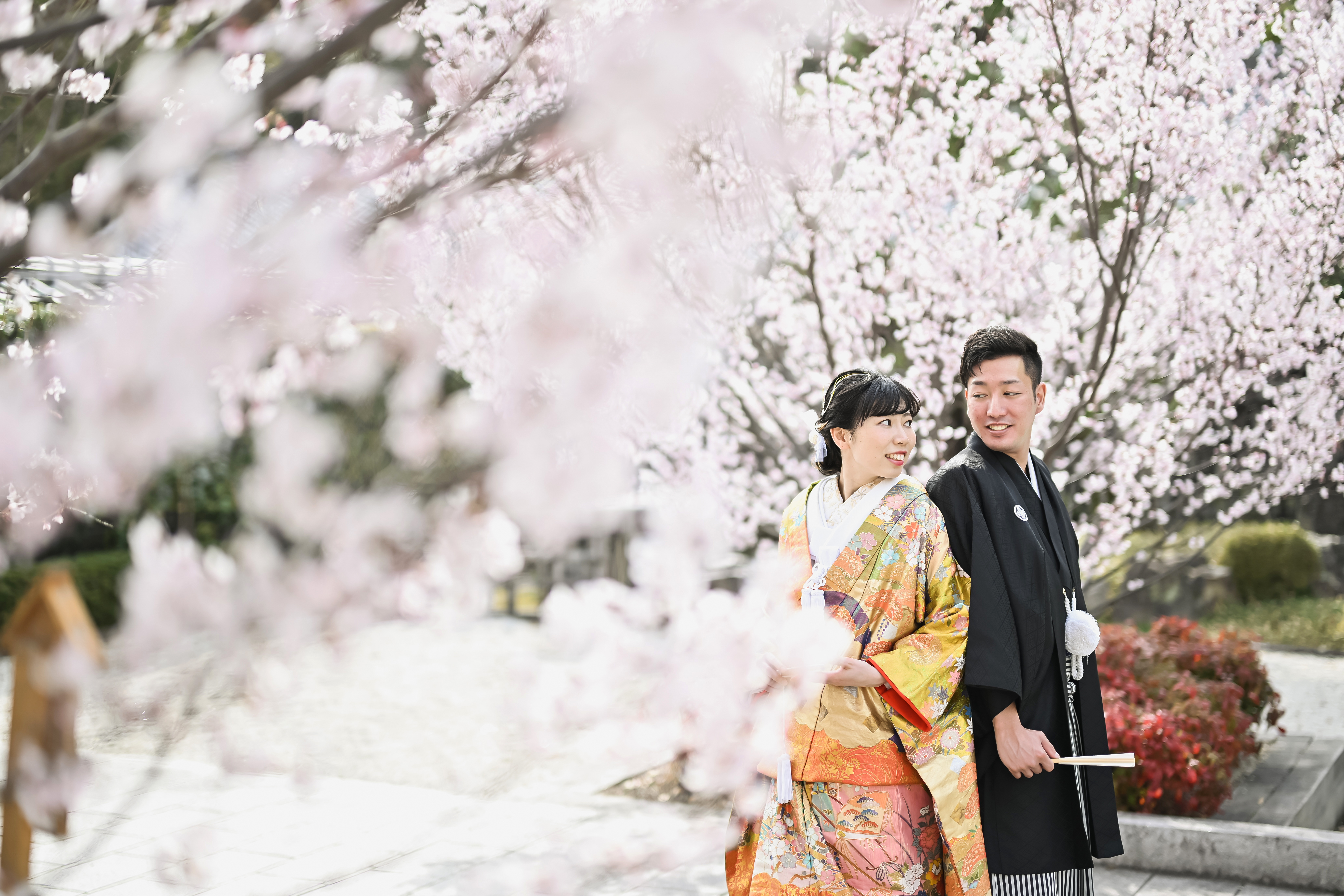 徳川園の美しい桜をバックに