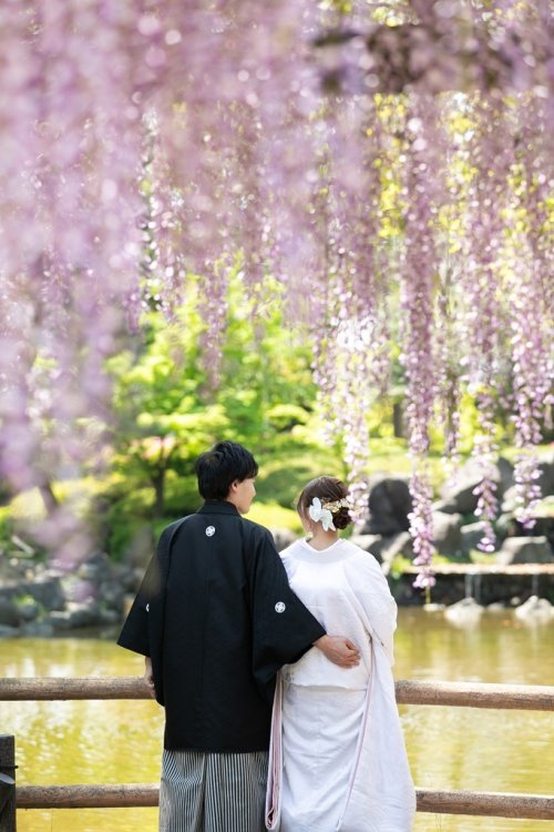 藤の花と撮影