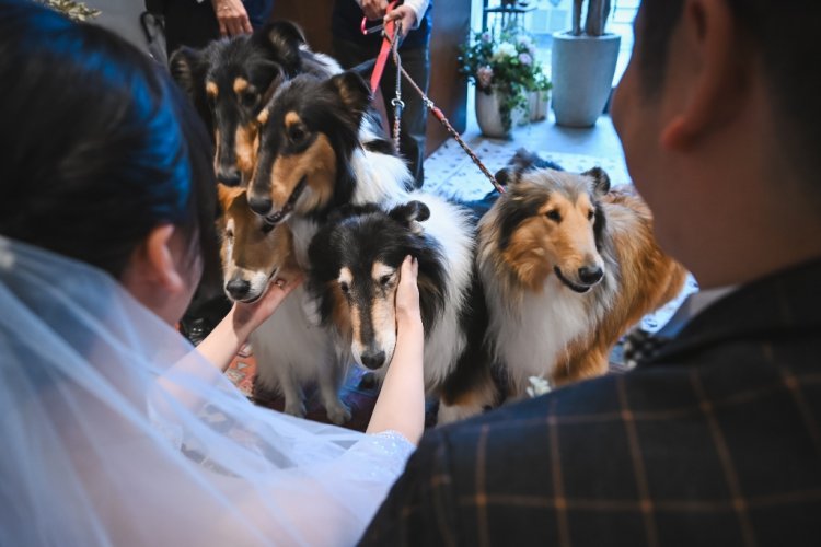 笑顔で愛犬を抱きしめる新婦のラストカット