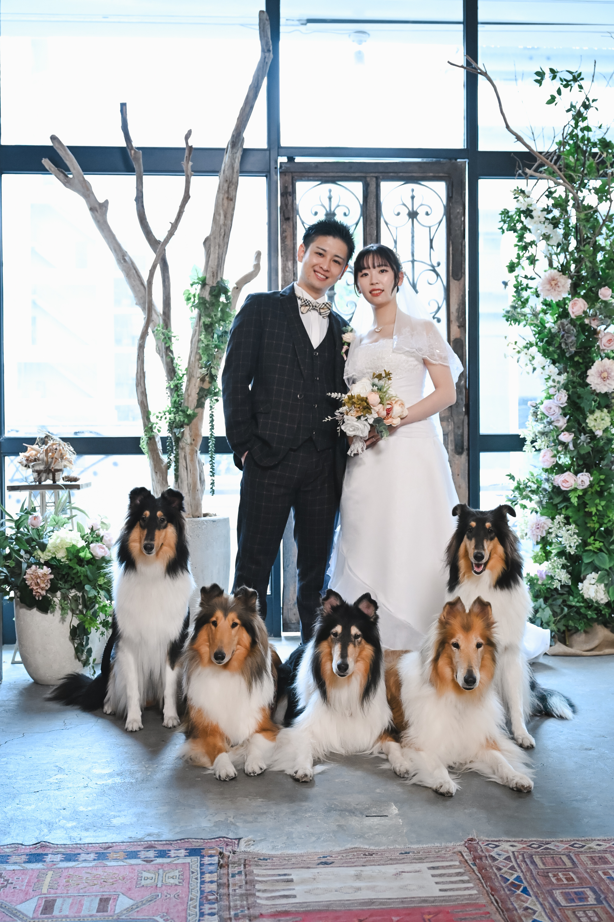 スタジオでウェディングドレスを着た花嫁と愛犬が寄り添う前撮り写真