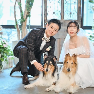 2匹のコリーを撫でながら笑顔を見せる新郎新婦。愛犬と叶えるアトリエスタジオのウェディングフォト