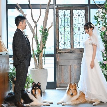 アンティークの扉の前で2匹のコリーと立つ新郎新婦。愛犬と一緒の結婚写真