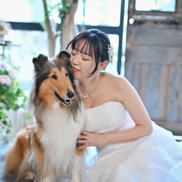 愛犬のコリーに頬を寄せるドレス姿の花嫁。ペットと撮るアトリエスタジオのフォトウェディング