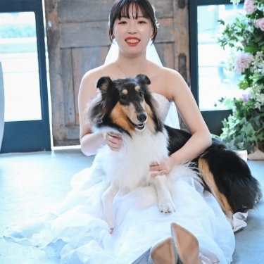 ドレス姿で床に座り愛犬のコリーを抱きしめる花嫁。ペットと一緒のウェディングフォト