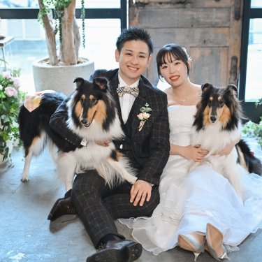 2匹のコリーと床に座って笑顔を見せる新郎新婦。愛犬と撮るアトリエスタジオのフォトウェディング
