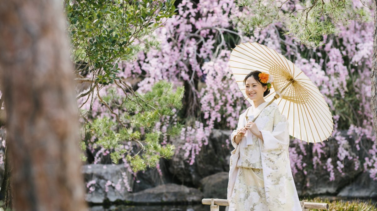 淡いピンクの枝垂れ桜が咲く庭園で、白い和傘を差して微笑む色打掛の花嫁。名古屋の桜前撮り