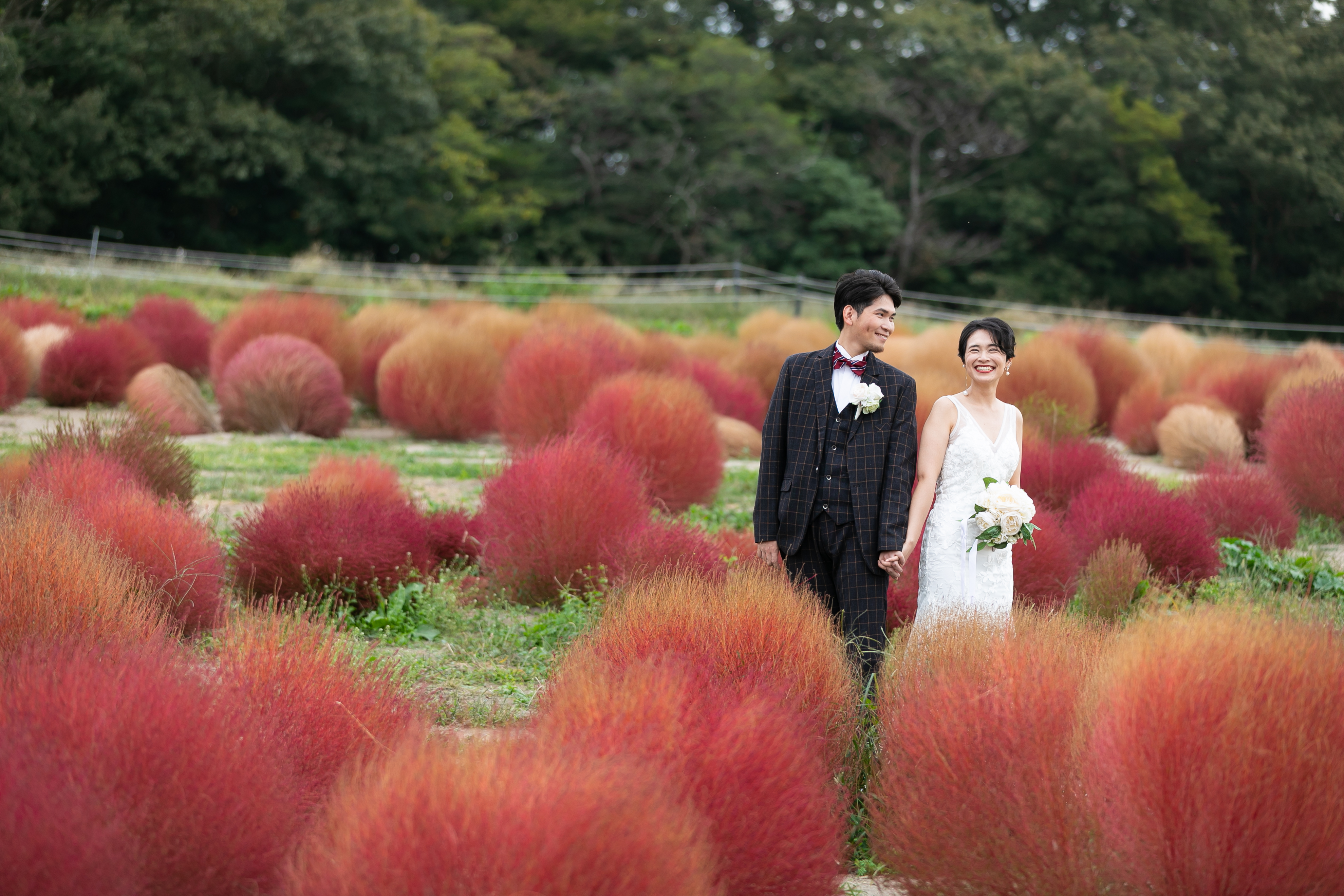 春の菜の花畑での前撮りフォト