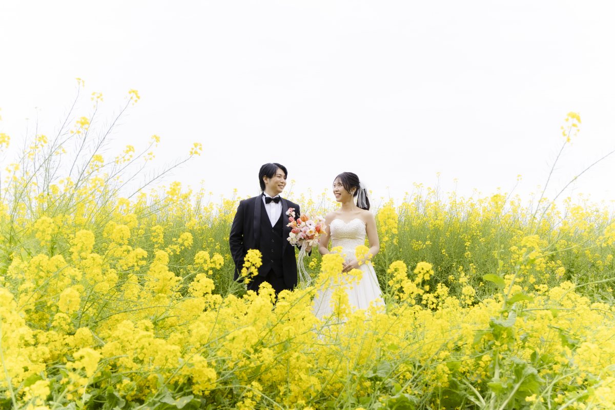 4月に入っても菜の花いっぱい!